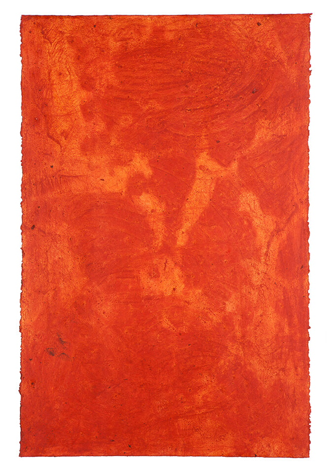 ACHIOTE papel 24.jpg